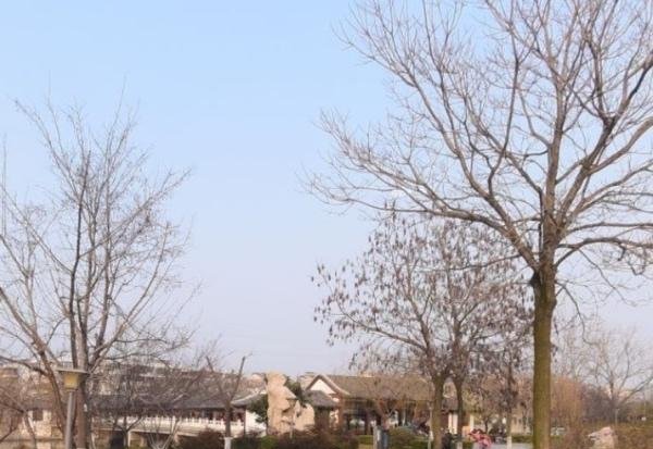 古黄河公园大同广场-69俱乐部