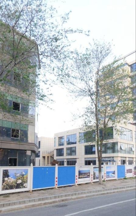 路边的野花-69俱乐部